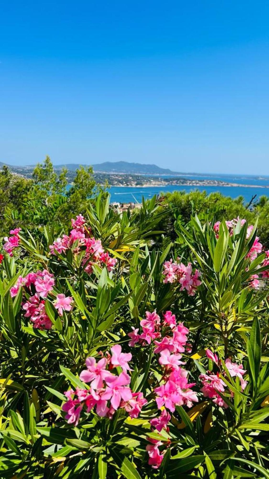 Vue Mer Imprenable Et Piscine Bandol Extérieur photo